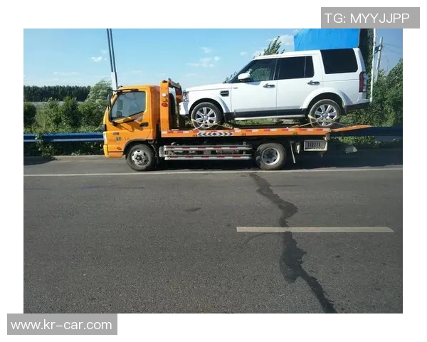 龙����������鞋:传���与现代的完美融合� 龙����������鞋:传���与现代的完美融合�