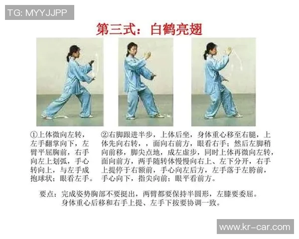 全面解析24式太极拳教学视频助你轻松掌握太极拳的精髓与技巧