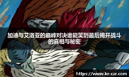 中欧体育官网版